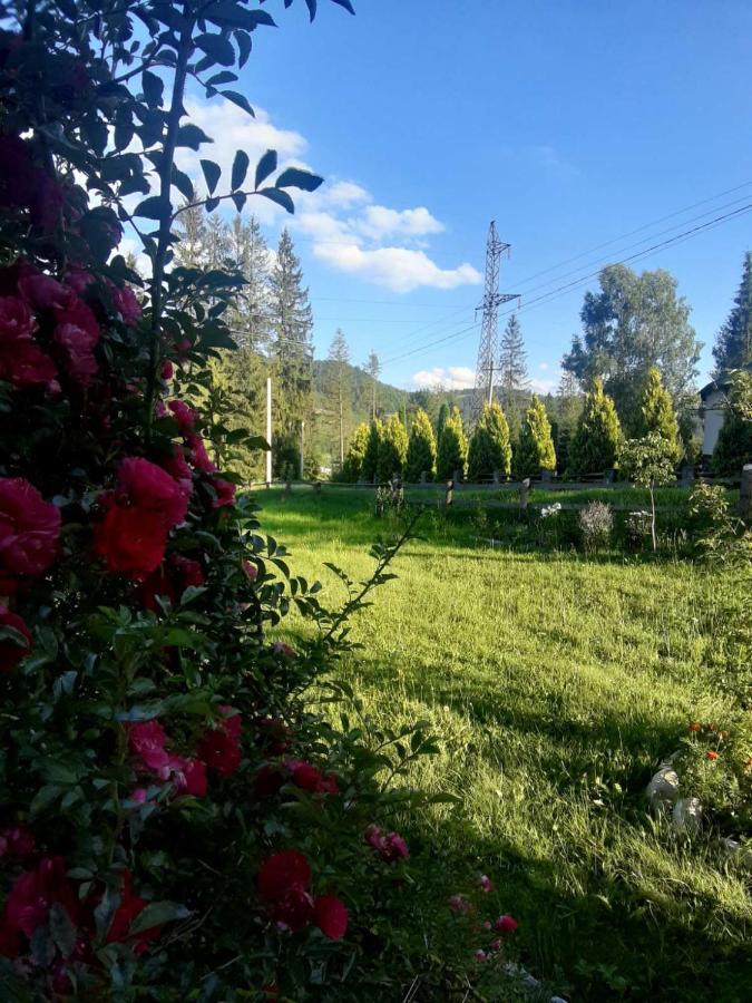 Родинна Оселя سلافسكي المظهر الخارجي الصورة