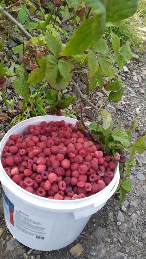 Родинна Оселя سلافسكي المظهر الخارجي الصورة